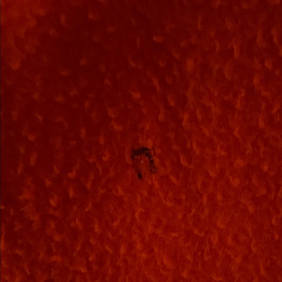 Rachel Comey bright orange (red) wool coat - Picture 5 of 9